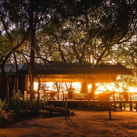 Askiesbos - Samochima Bush Camp Shakawe Ngoại thất bức ảnh