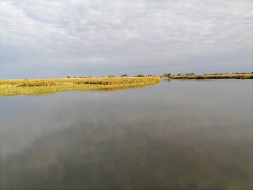 Askiesbos - Samochima Bush Camp Shakawe Ngoại thất bức ảnh