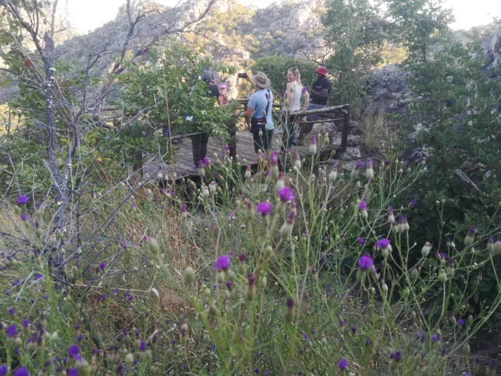 Askiesbos - Samochima Bush Camp Shakawe Ngoại thất bức ảnh