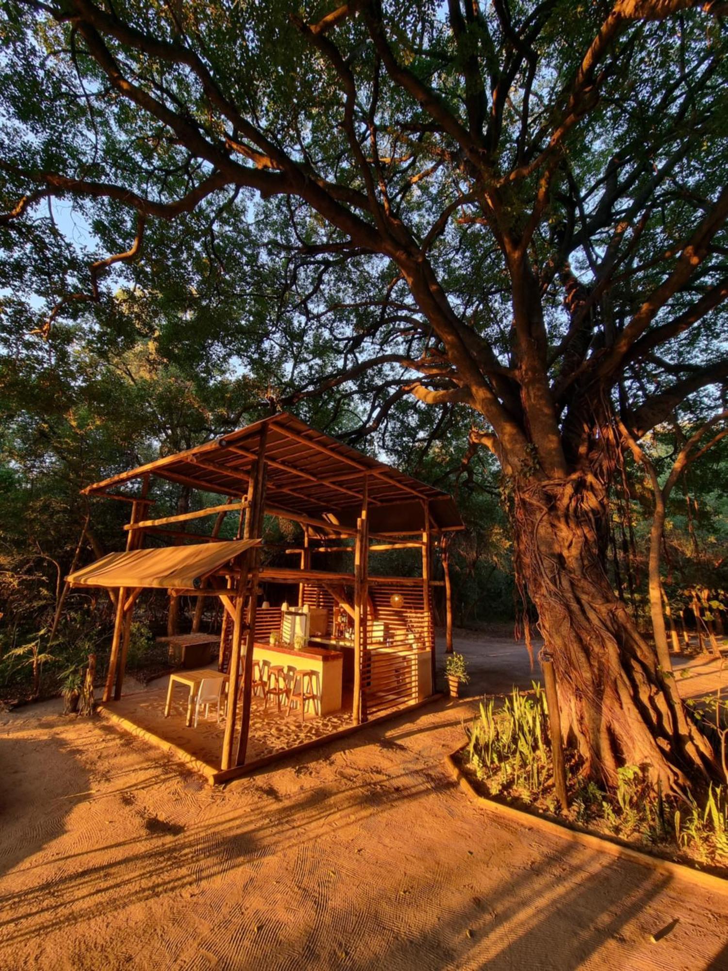 Askiesbos - Samochima Bush Camp Shakawe Ngoại thất bức ảnh