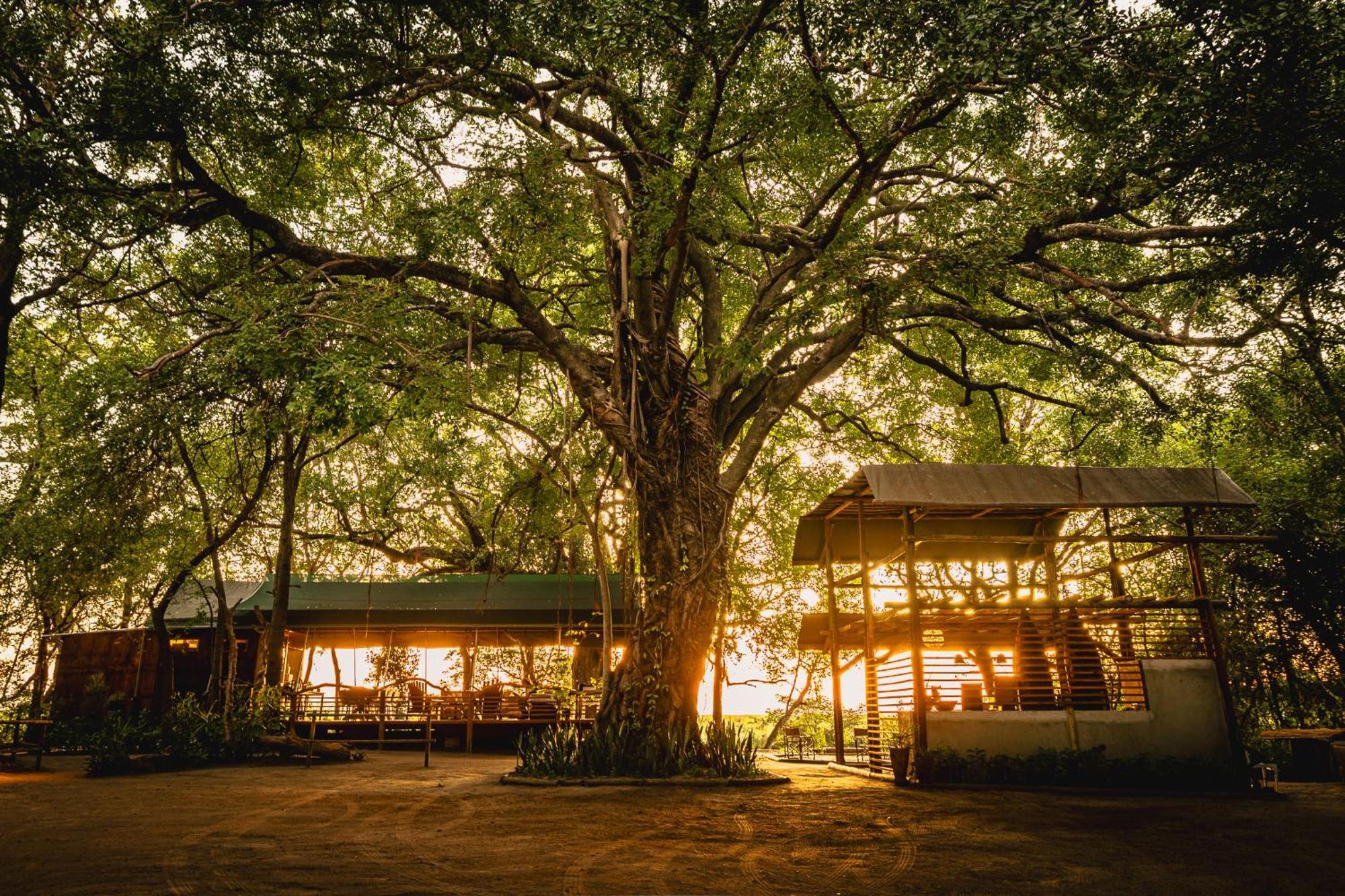 Askiesbos - Samochima Bush Camp Shakawe Ngoại thất bức ảnh